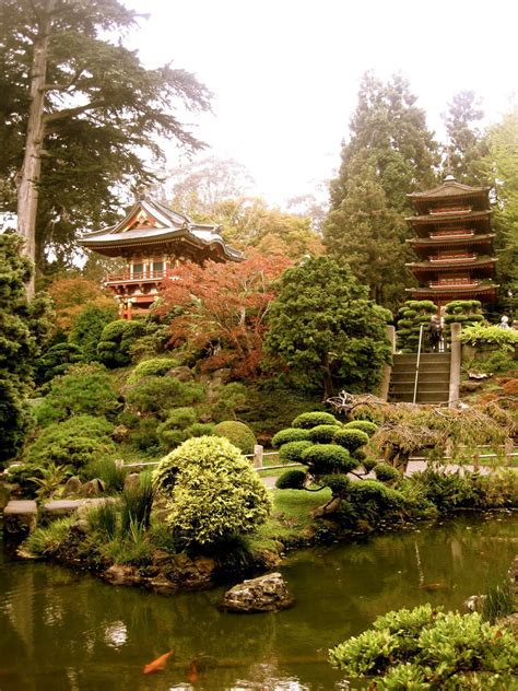 Order online and track your order live. Japanese Tea Garden. San Francisco (With images) | Tea ...