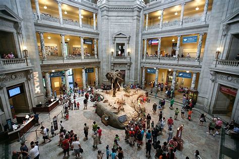 10 Best Natural History Museums Around The Globe Worldatlas