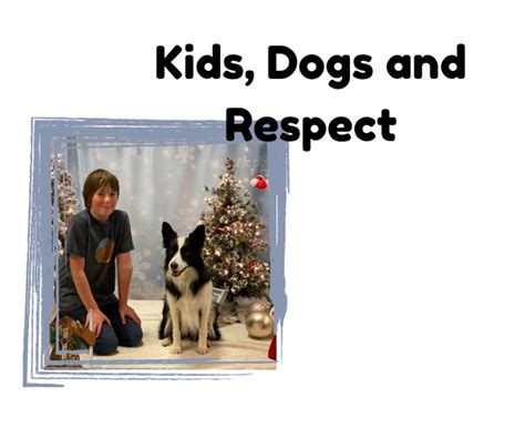Kids Dogs And Respect Spiritdog Training
