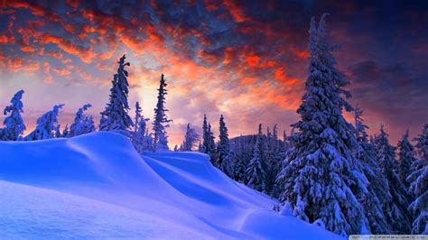 Free Download 69 1080p Winter Wallpapers On Wallpaperplay