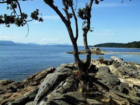 A Kayaking Trip To Tent Island In Bcs Gulf Islands