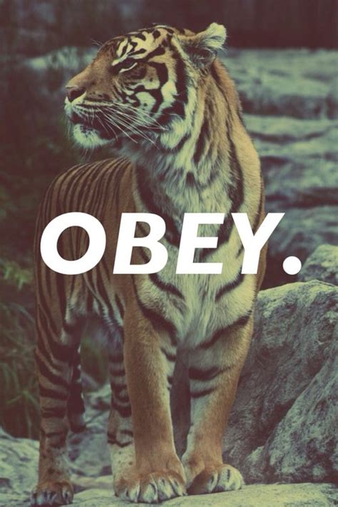 And it isn't always easy. dope | Tumblr | Wallpaper | Pinterest | Posts, Tigers and ...