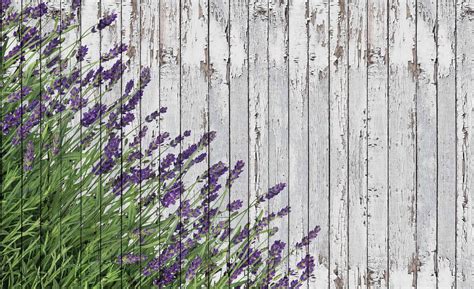 Lavendar Wood Planks Wall Paper Mural Buy At Europosters