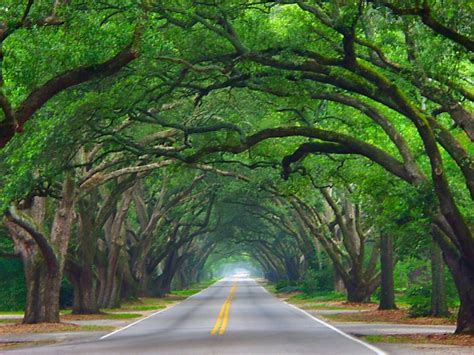 Aiken is in aiken county and is one of the best places to live in south carolina. 101 Reasons Locals Agree Aiken SC is the Best Small Town in the South