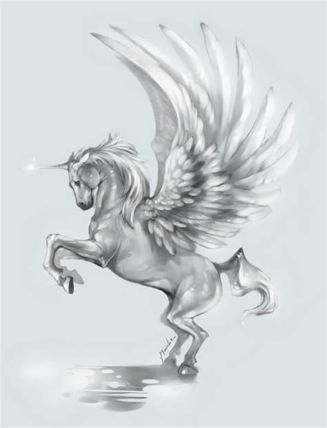 Photo By Ramon Miranda Unicorn Wings Pegasus Art Pegasus Tattoo
