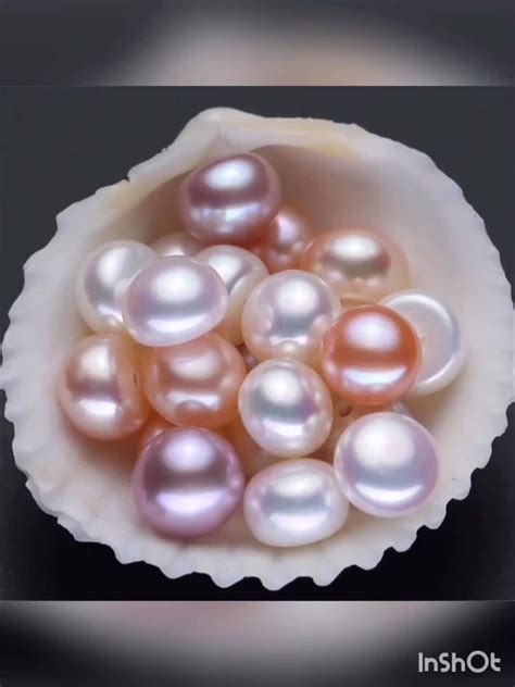 Aaa Half Drilled Fresh Water Pearl Loose Wholesale Flat Back Button