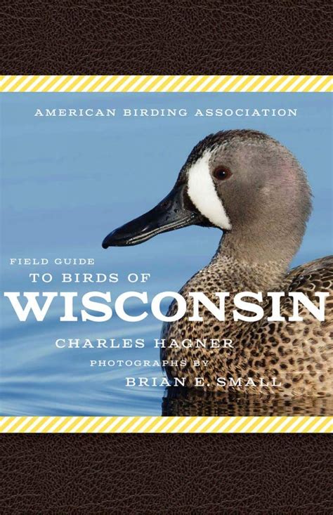 American Birding Association Field Guide To Birds Of Wisconsin Nhbs