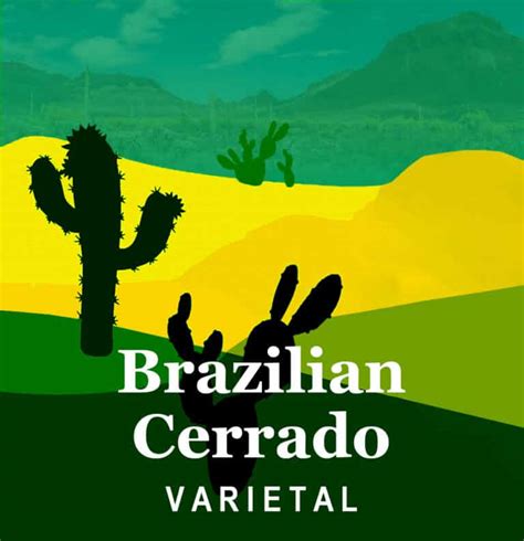 Brazilian Cerrado