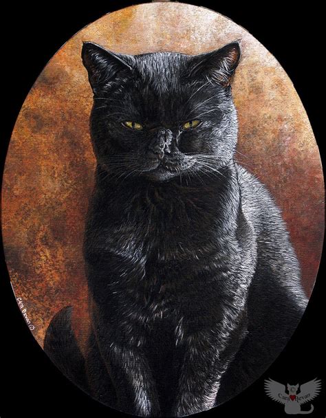 Vader By Art Fromthe Black Cat Art Black Cat