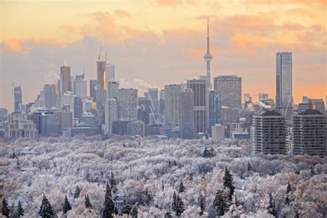 24 Fun Things To Do In Toronto In The Winter Must Do Canada