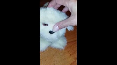 Find your new family member today, and discover the puppyspot difference. Almost like a real puppy...When you pet him he does this.... - YouTube