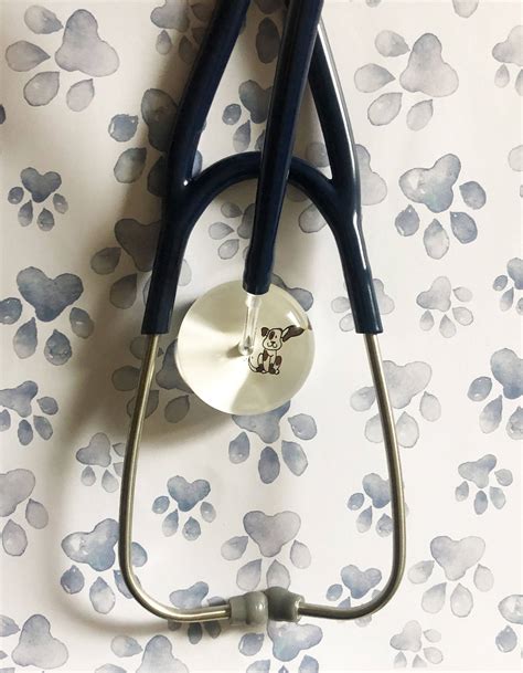 A Must Read Guide To The Best Stethoscope For Nursing School Ultrascope