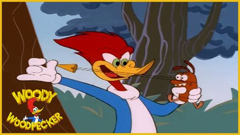 Woody Woodpecker Woody And The Termite Full Episodes Youtube