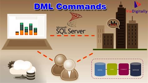 Types Of Sql Commands Dml Commands In Sql Dml Commands With Syntax