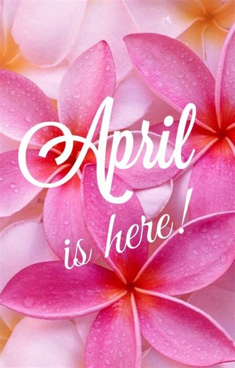 50 Hello April Images Pictures Quotes And Pics 2020