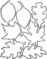 Leaves Maple Malvorlage Blatt Tropisches Herbst Fensterbilder Pumpkins Dekoideen Selbermachen Americanfeltandcraft Uricompare Annamarie Diagram sketch template