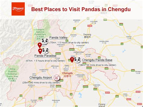 Chengdu Day Tours Small Group Tours To Visit Chengdu Pandas And