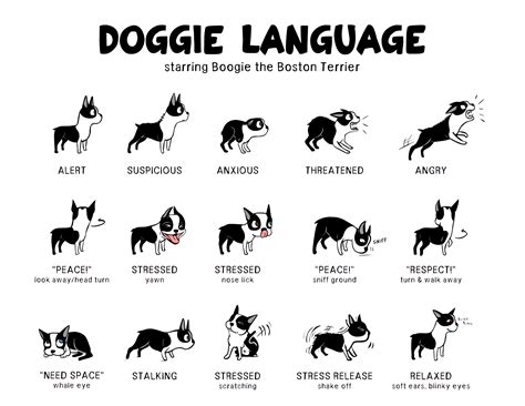 Body Language Your Dog Has A Lot To Say Joyful Dog