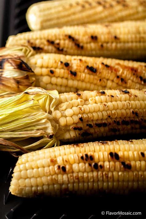 Elote Mexican Grilled Street Corn Flavor Mosaic