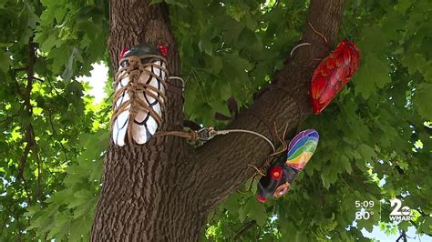 Cicada Parade A Art Project Unleashing Big Bugs In Baltimore Collaborative Art Projects Art
