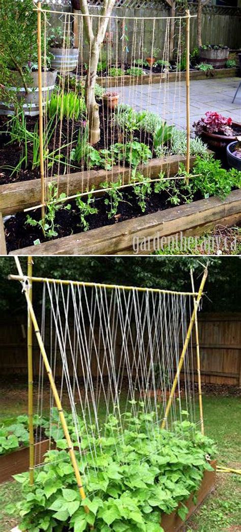 Top 28 Easy And Cheap DIY Garden Trellis Ideas