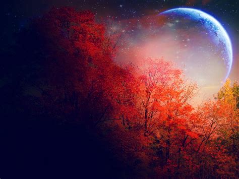 Full Moon In Autumn Fondo De Pantalla Hd Fondo De Escritorio