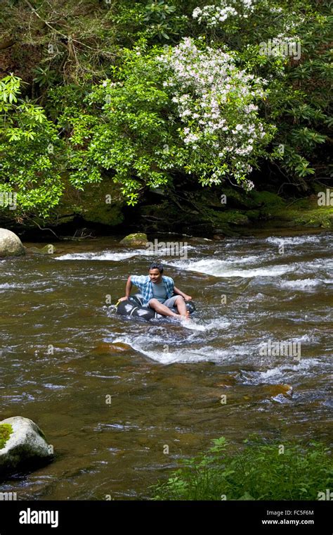 Tubing On Deep Creek In The Great Smoky Mountains National Park Near