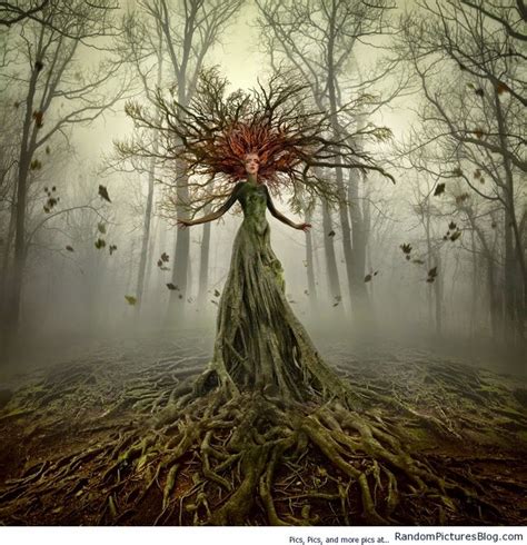 Dryades The Nymphs Of The Trees~ Art Tree Art Fantasy Art
