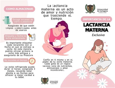 Folleto De Lactancia Materna Notas Cl Nicas Udocz