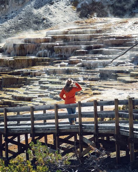 Mammoth Hot Springs Yellowstone National Park — Flying Dawn Marie