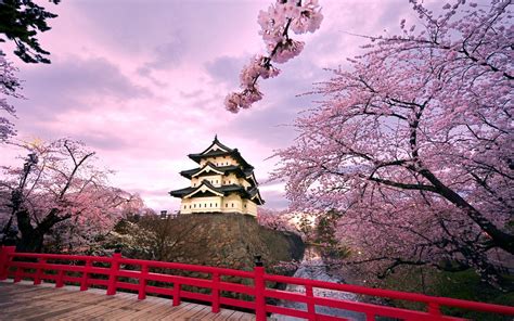Japan Castles Cherry Blossoms Pink Houses Japanese Bridge Hirosaki