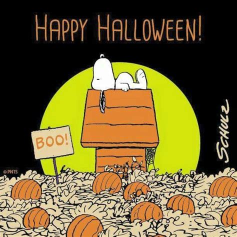 Pin By Karen Boyer On Halloween Is My Day Snoopy Halloween Charlie