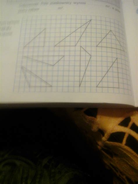 Które Trapezy Mają Równe Pola - zamaluj tym samym kolorem trójkąty które mają równe pola - Brainly.pl