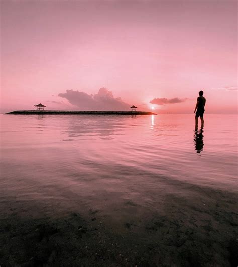 Man Standing On Water Near Island During Dawn Photo Free Pink Image