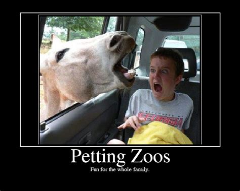 Petting Zoos Picture Ebaums World