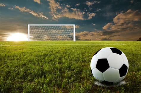 Football stadium 3d rendering soccer stadium with crowded field arena. Soccer Field, How To Ensure Your Soccer Filed, #26275