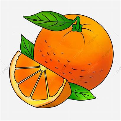 Jeruk Gambar Kartun Dan Buah Orange Cartoon
