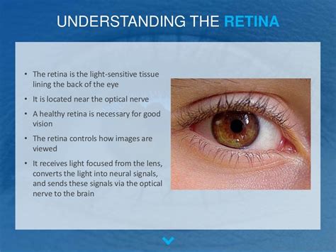 The Most Common Retinal Diseases