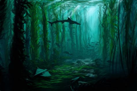 Kelp Forest Drawing