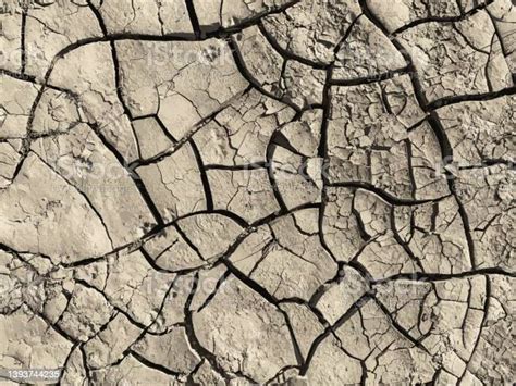 Cracked Earth Background Dry Ground Surface With Cracks Mud Cracks