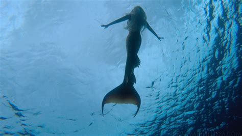 Professional Mermaid Gets Along Swimmingly With Ocean Sea Life Real Life Mermaids Mermaid