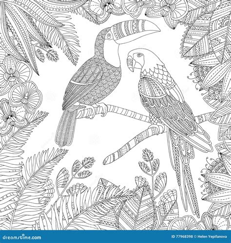 Vector Hand Drawn Toucan Bird And Ara Parrot Tropical Illustration For