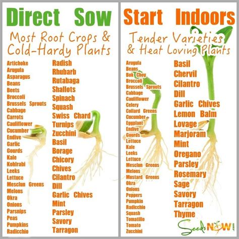One is for flowers, and the other one is for vegetables. Nice chart | Starting seeds indoors, Home vegetable garden ...