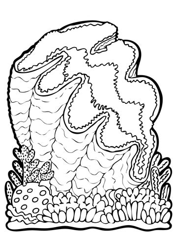 Introducing my take on the 'niffler' from fantastic beasts and. Giant Clam coloring page | SuperColoring.com