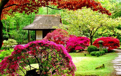 Beautiful Garden Wallpapers Wallpaper Cave