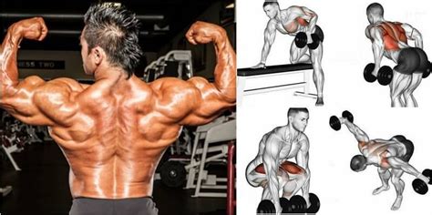Dumbbell Back Exercises Target The Upper And Lower Lats As Well As The