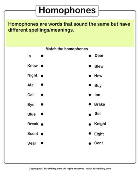 Homonyms Homophones Worksheets Match The Homophones Turtle Diary English Grammar Rules