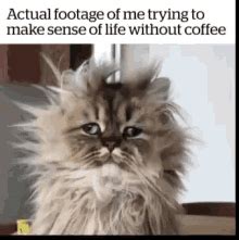 These can be images of anything, including people, animals, signs, and symbols. Coffee GIFs | Tenor