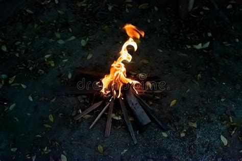 A Small Fire Bonfire On The Ground Stock Image Image Of Lifestyle