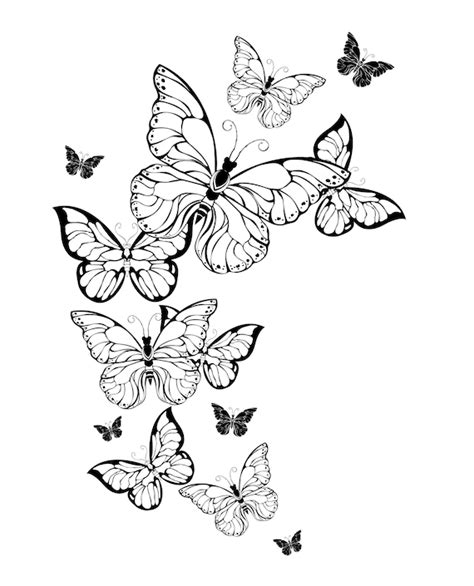 Realistic Butterfly Coloring Pages